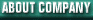 About Company
