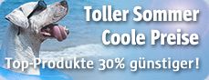 2010 summer special