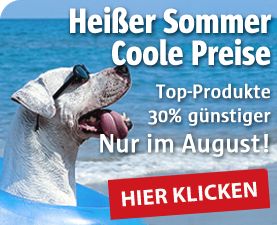 2010 summer special