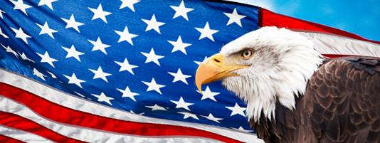 partners_banner