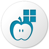 paragon software group ntfs for mac